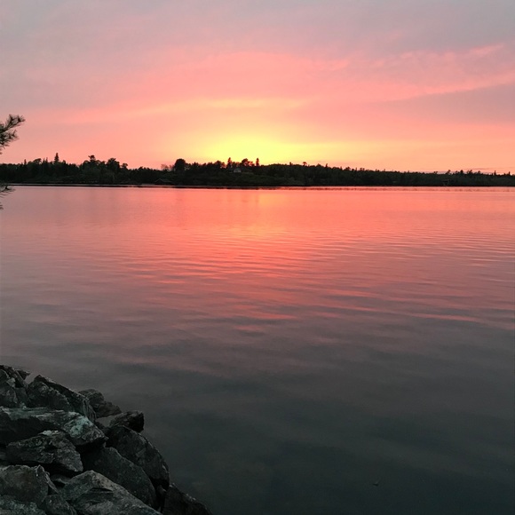 Meet your Posher, Ronni - Picture 1 of 1